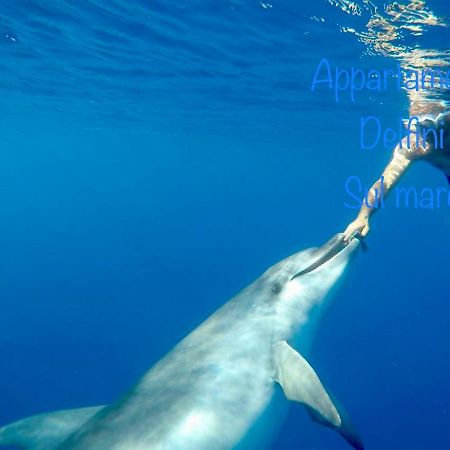 Appartamento Delfini Sul Mare Golfo Aranci Buitenkant foto