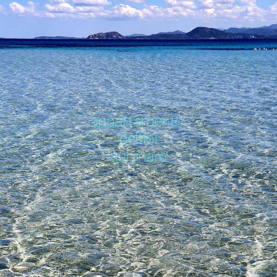 Appartamento Delfini Sul Mare Golfo Aranci Buitenkant foto