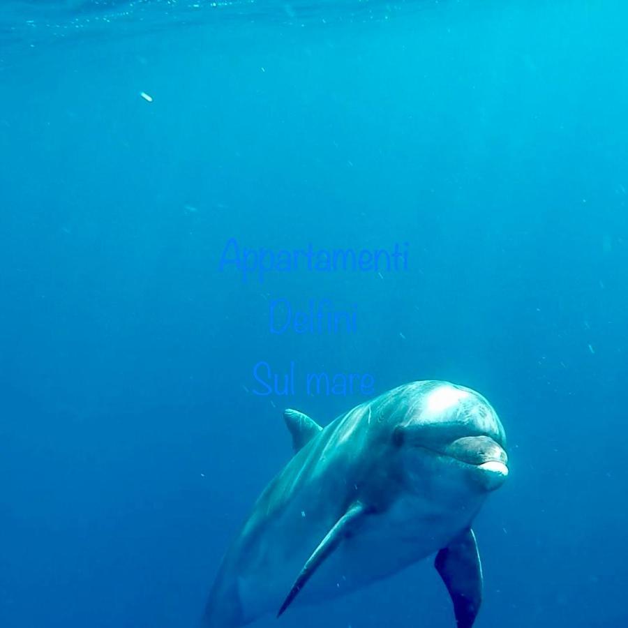Appartamento Delfini Sul Mare Golfo Aranci Buitenkant foto