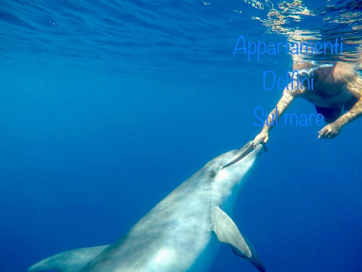 Appartamento Delfini Sul Mare Golfo Aranci Buitenkant foto